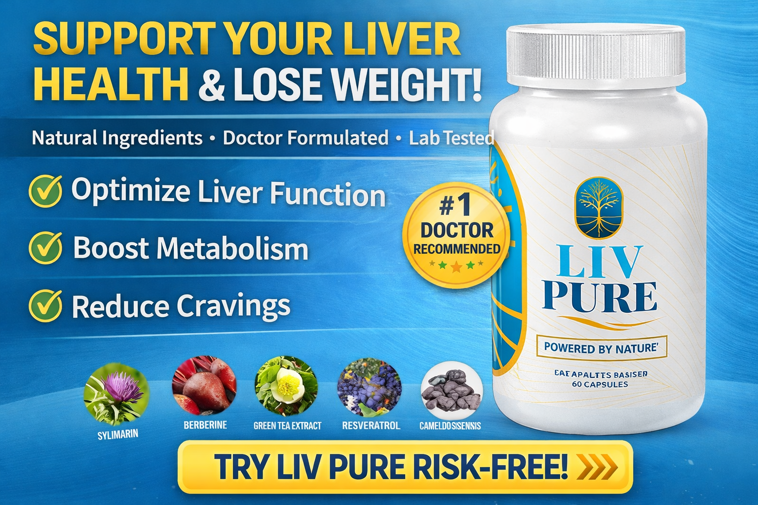 fat burning concept illustration with human body